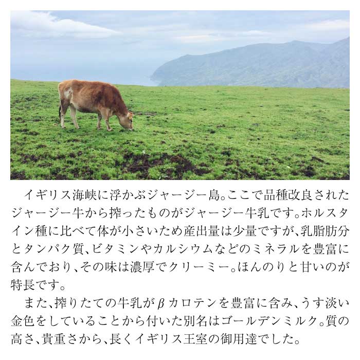 山のいぶき 山吹色のジャージーヨーグルトセット