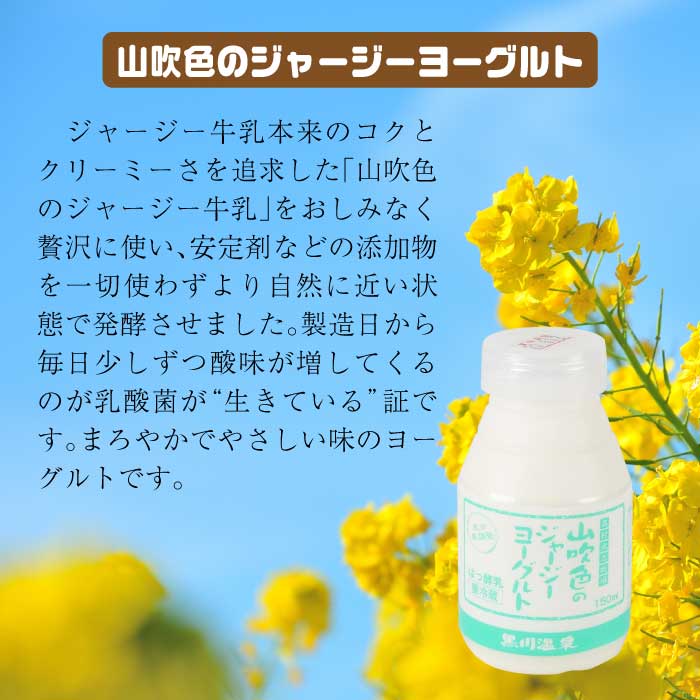山のいぶき 牛乳&ヨーグルトセット