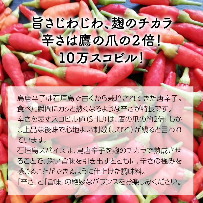 石垣島スパイス 熟成島とうがらし 粗挽き一味 10g ×2個セット