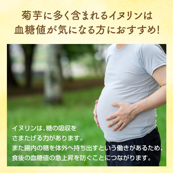 菊芋パウダー 90g|熊本県産 菊芋100%
