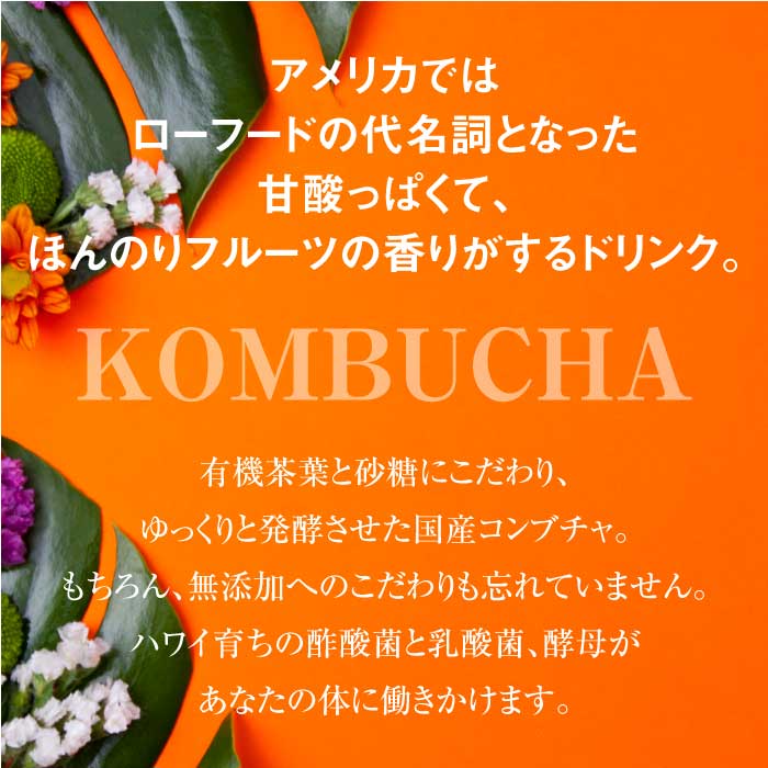 ferment works KOMBUCHA classic 【国産無添加クラフトコンブチャ】