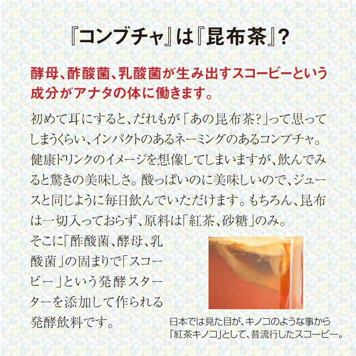ferment works KOMBUCHA classic 【国産無添加クラフトコンブチャ】