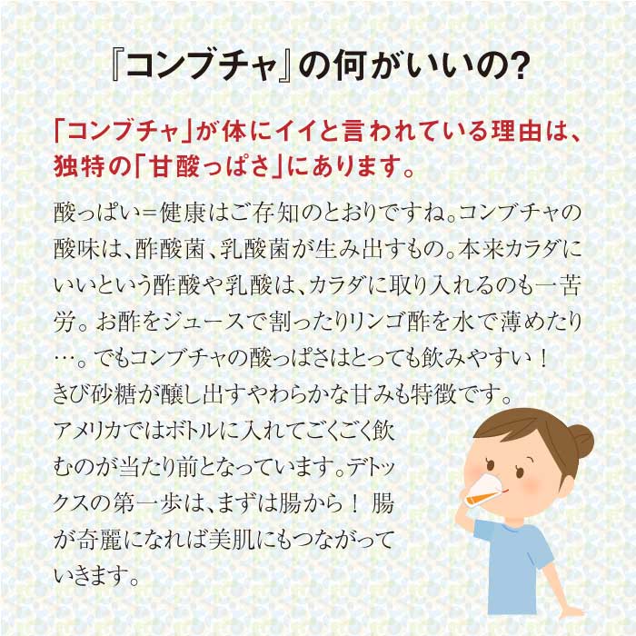 ferment works KOMBUCHA classic 【国産無添加クラフトコンブチャ】