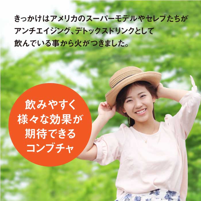 ferment works KOMBUCHA classic 【国産無添加クラフトコンブチャ】