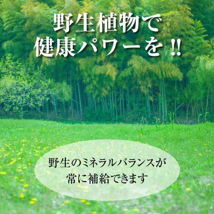 マグマンE