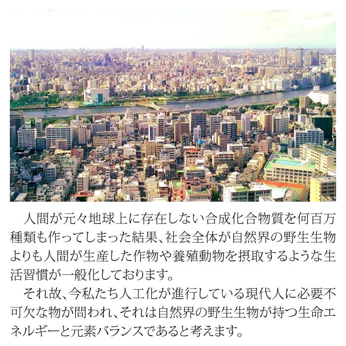 マグマンE