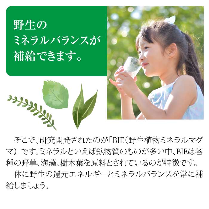 マグマンE