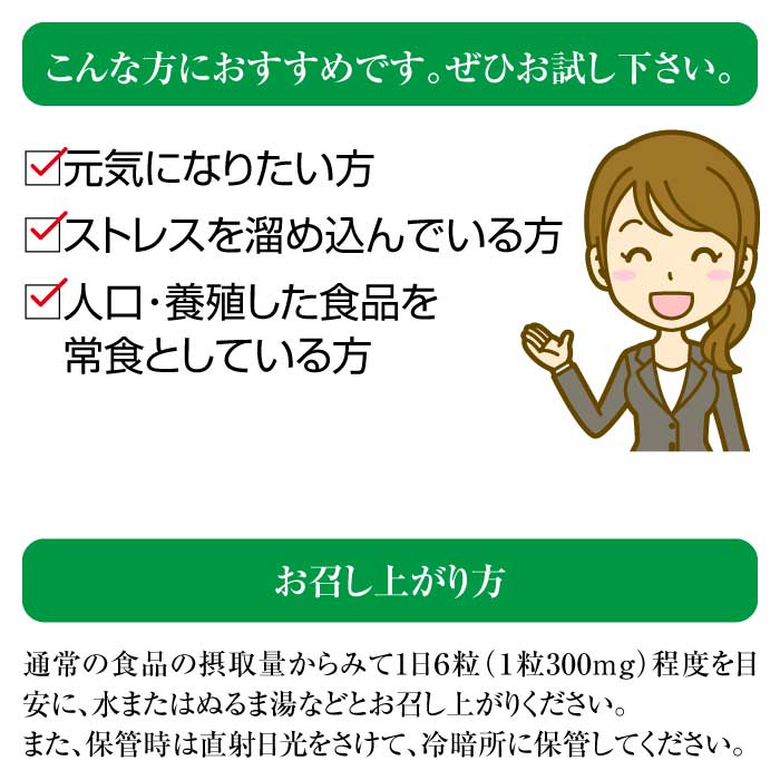 マグマンE