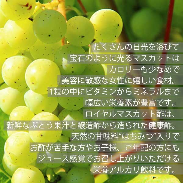 ロイヤルマスカット酢 720ml