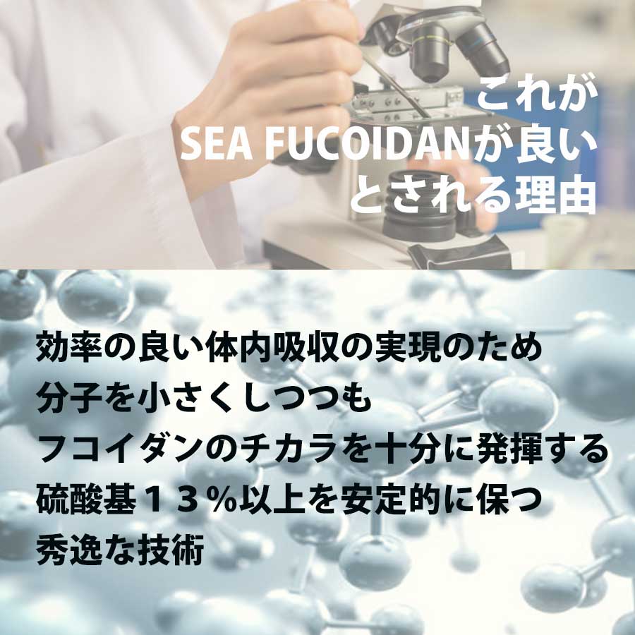 【初回限定30%OFF対象商品】シーフコイダン ノーマルタイプ (900ml×2本)