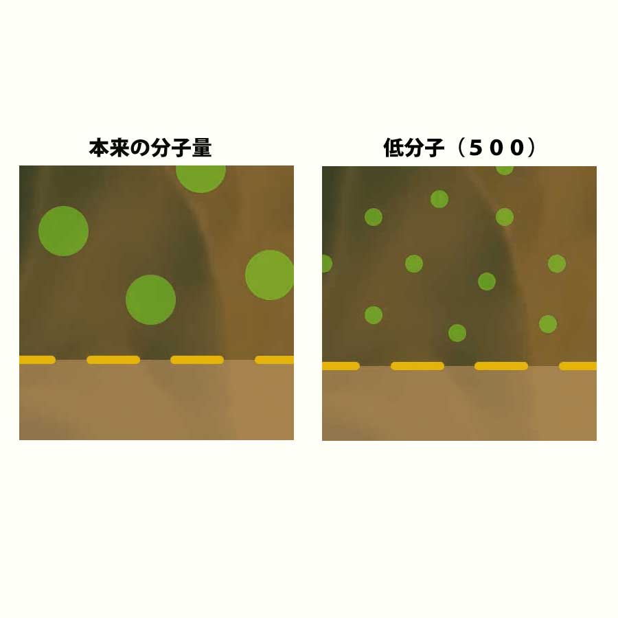 【初回限定30%OFF対象商品】シーフコイダン ノーマルタイプ (900ml×2本)
