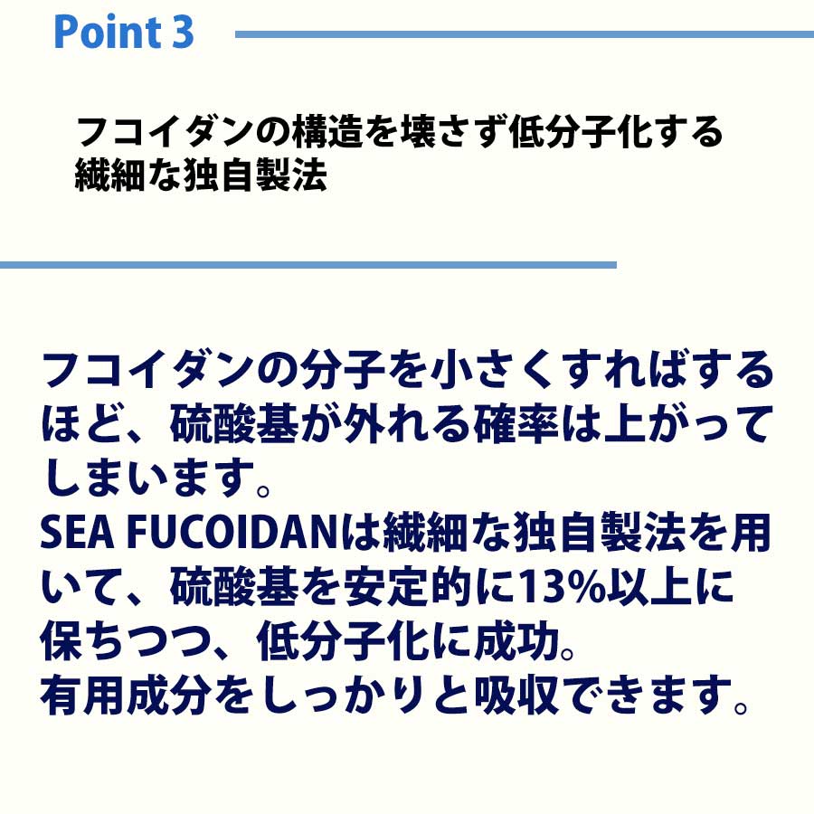 【初回限定30%OFF対象商品】シーフコイダン ノーマルタイプ (900ml×2本)