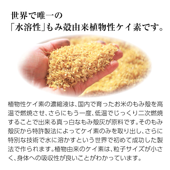 Rice Silica PREMIUM 500ml ×1本 (ライスシリカプレミアム)