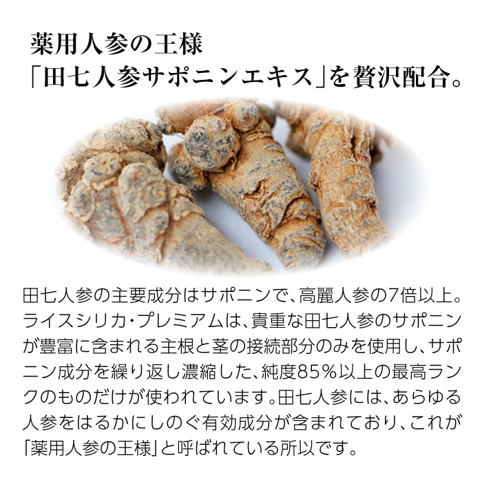 Rice Silica PREMIUM 500ml ×1本 (ライスシリカプレミアム)