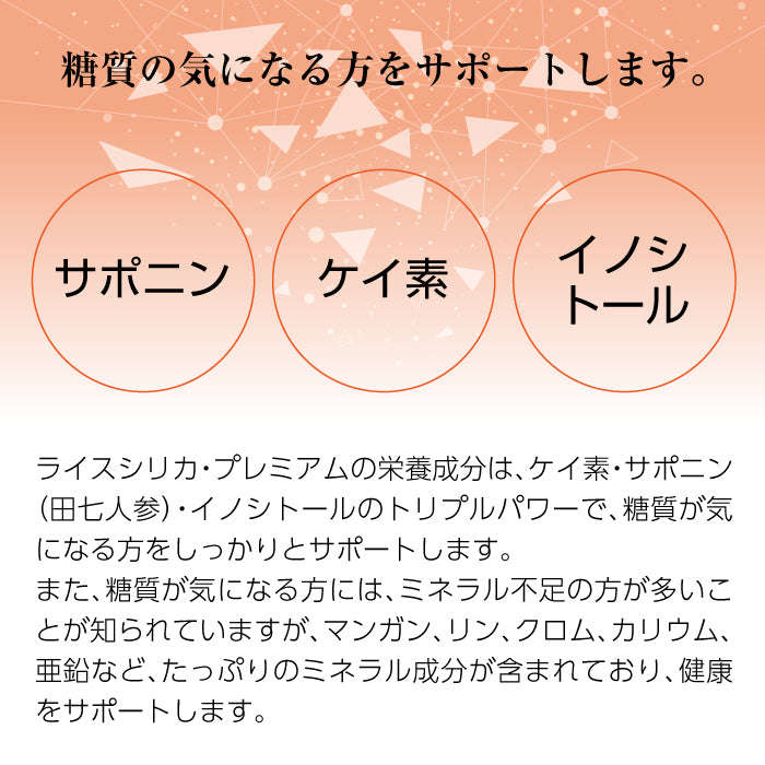 Rice Silica PREMIUM 500ml ×1本 (ライスシリカプレミアム)