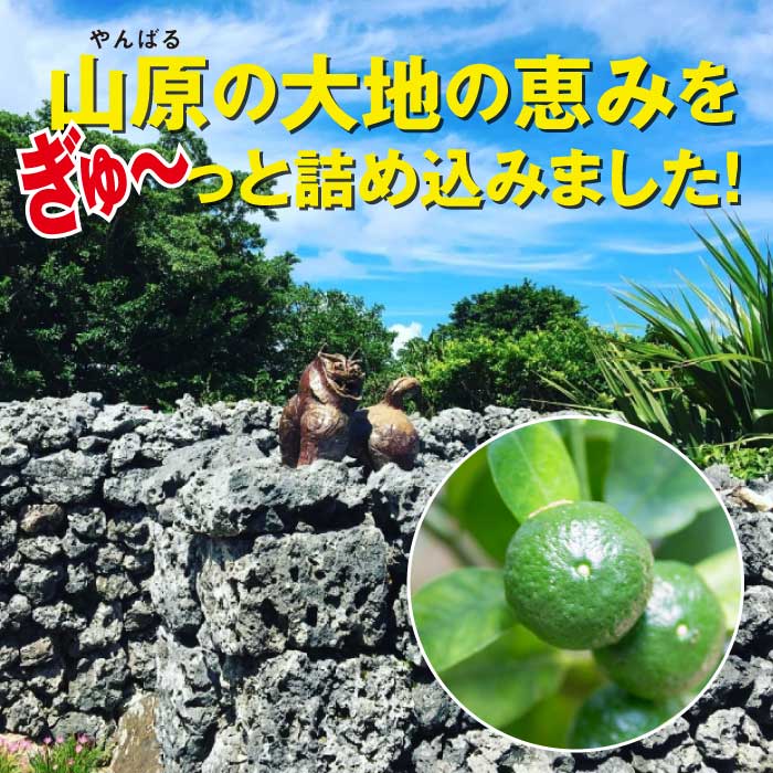 山原シークヮーサー(ペットボトル)