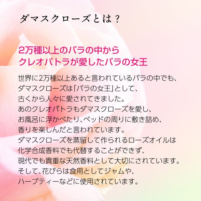 ブルガリアン スパークロゼ 200ml
