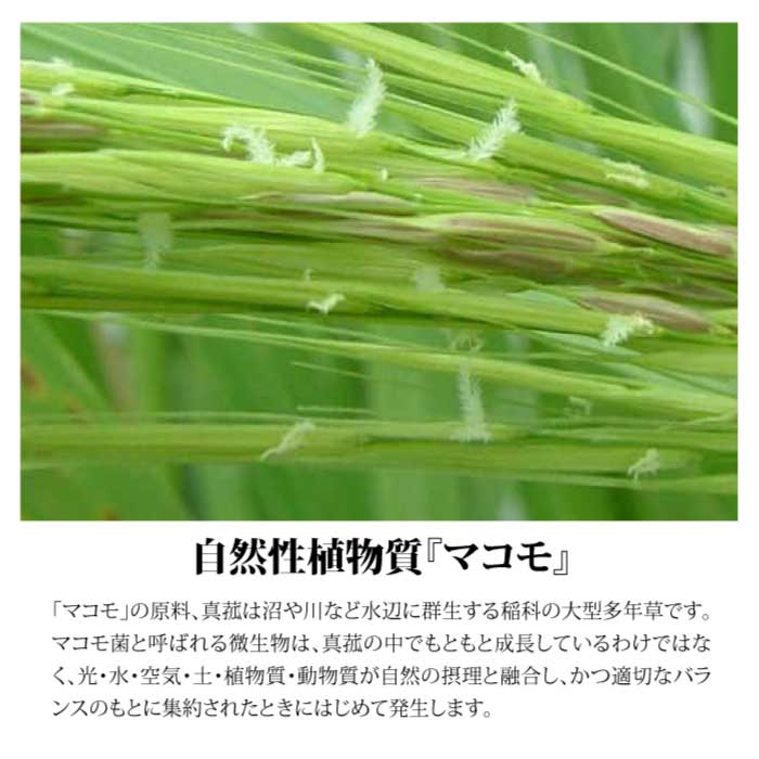 スサノメグミ【マコモ発酵液】天然成分100%酵素水|マコモ浄化スプレー