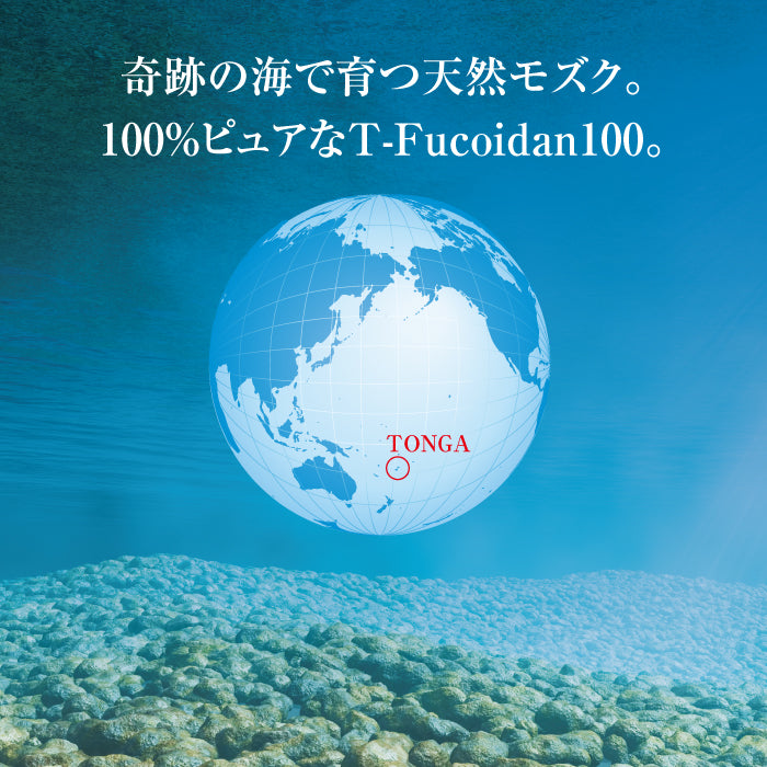 T Fucoidan 100 (Tフコイダン100) 120粒