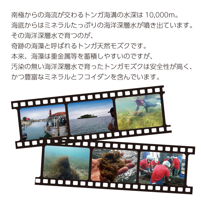 T Fucoidan 100 (Tフコイダン100) 120粒