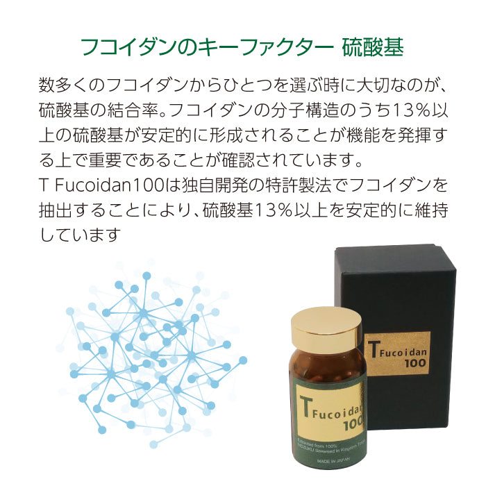 T Fucoidan 100 (Tフコイダン100) 120粒
