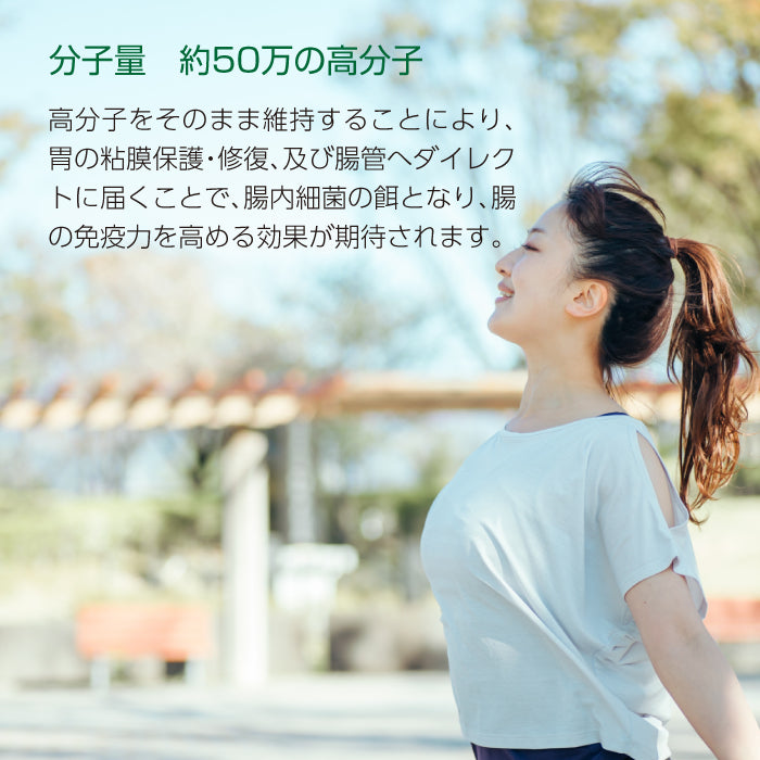 T Fucoidan 100 (Tフコイダン100) 120粒