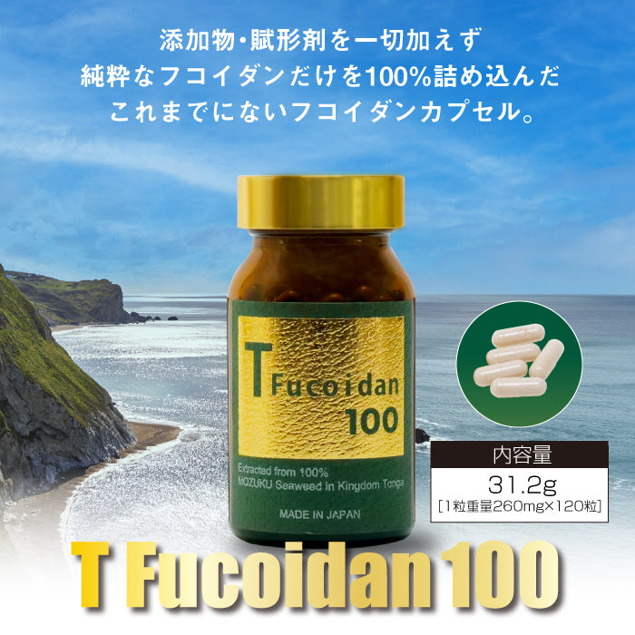 T Fucoidan 100 (Tフコイダン100) 120粒