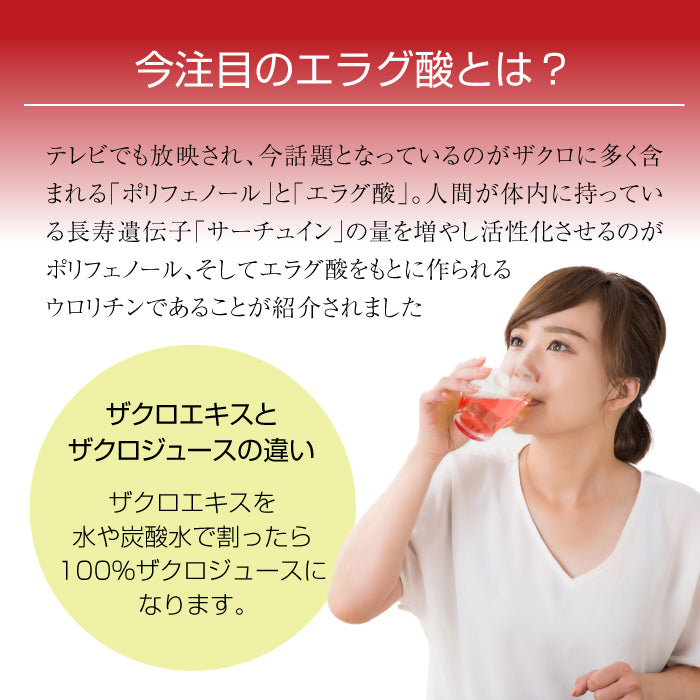 nini Pomegranate Extract ザクロエキス