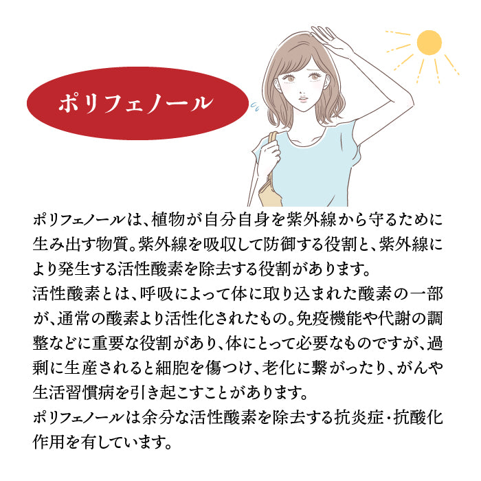 nini ザクロペースト(200g)