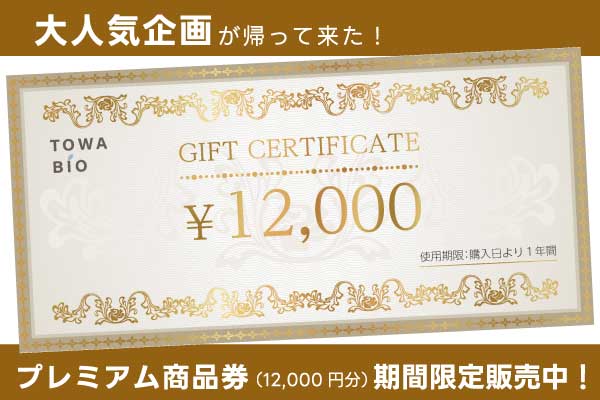 プレミアム商品券 12000円