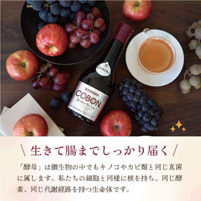 コーボンマーベル 525ml 天然酵母飲料