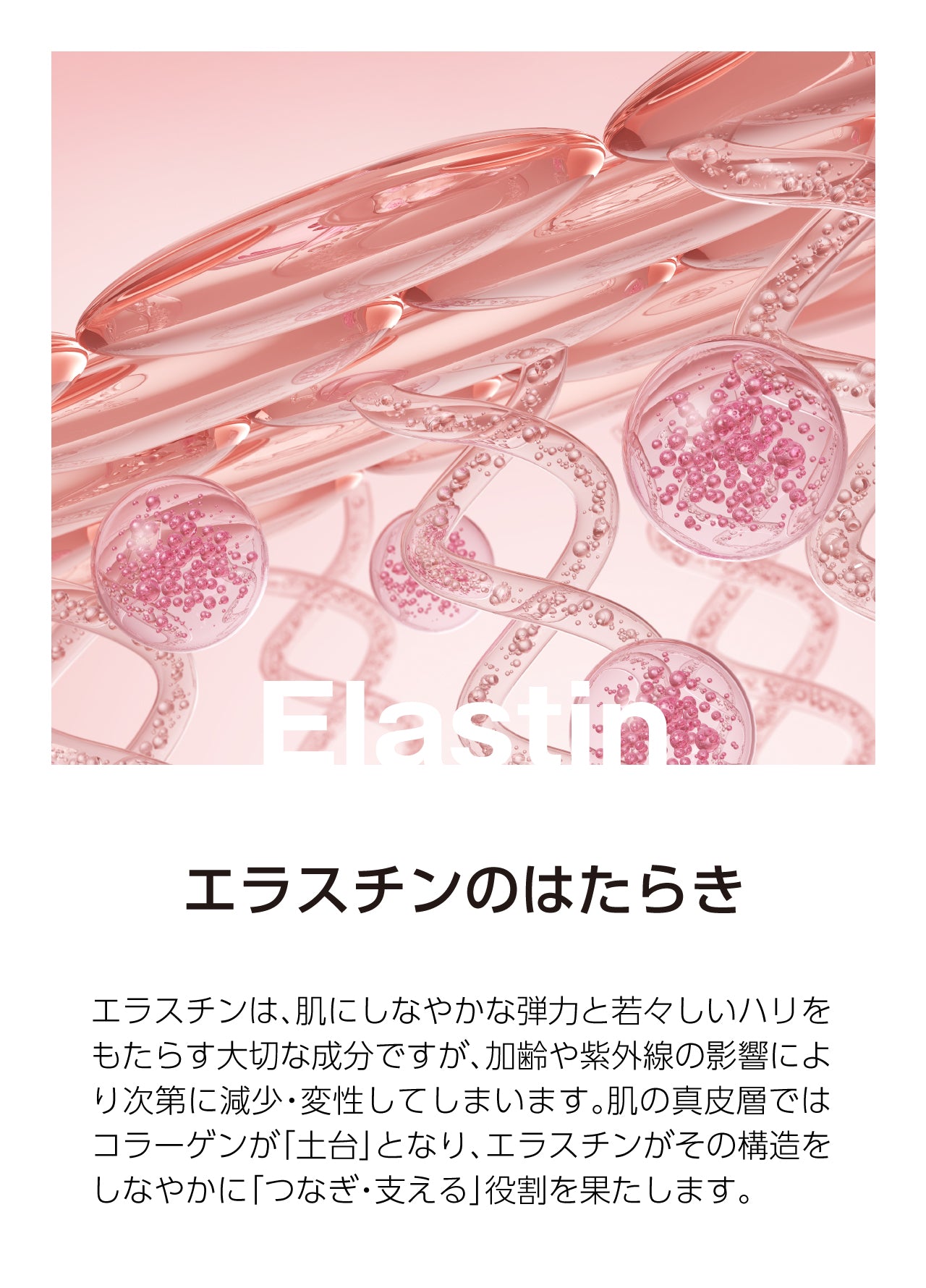 Fucoillagen フコイラゲン（15g×30包入）