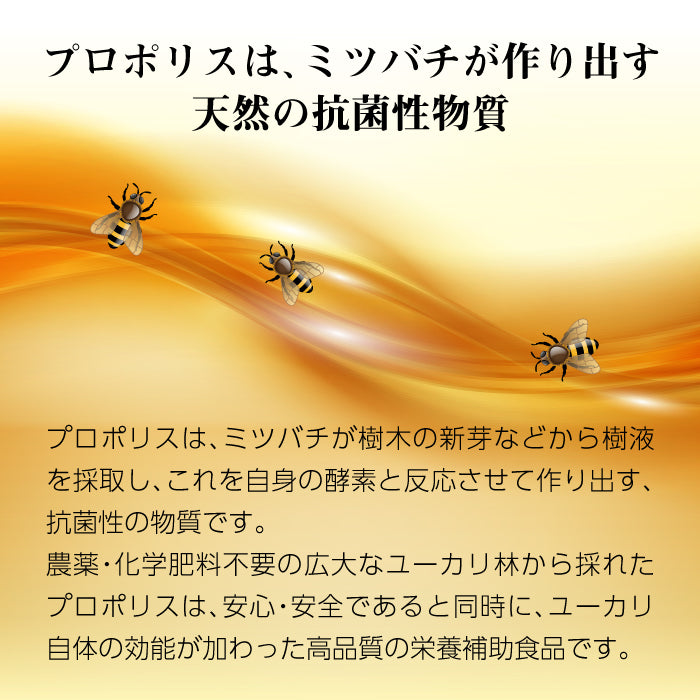 サンフローラ 蜂の恵み プロポリスドリンク （ ５０ml × 5本入り ）×２箱セット ｜熟成プロポリス液