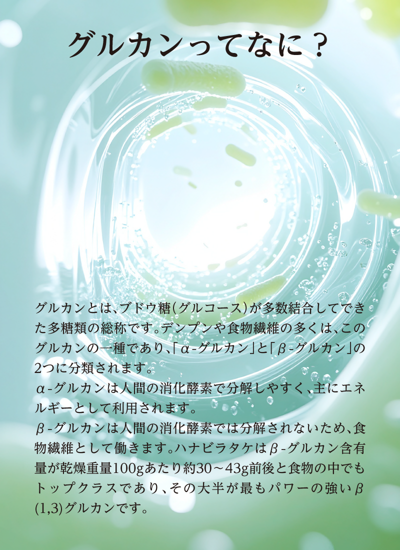 【期間限定販売品：クーガ芋入り】ハナビラタケX5 1箱 ( 120カプセル ) Biomax Premium 乳酸菌バイオジェニックス 高機能特許乳酸菌