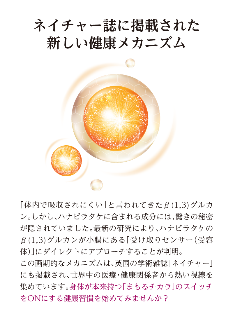 【期間限定販売品：クーガ芋入り】ハナビラタケX5 1箱 ( 120カプセル ) Biomax Premium 乳酸菌バイオジェニックス 高機能特許乳酸菌
