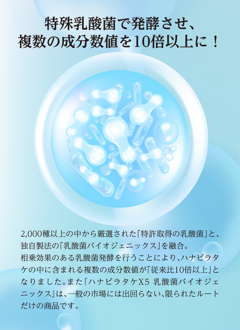 【期間限定販売品：クーガ芋入り】ハナビラタケX5 1箱 ( 120カプセル ) Biomax Premium 乳酸菌バイオジェニックス 高機能特許乳酸菌