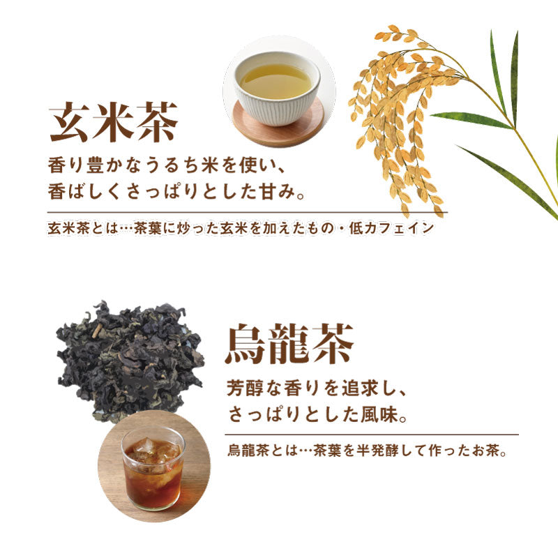 インスタント茶　セレクトパック 6種類入り （120包） ｜ 煎茶 / ほうじ茶 / 玄米茶 / 烏龍茶 / ジャスミン茶 / ルイボスティー ｜ 百年茶 粉末