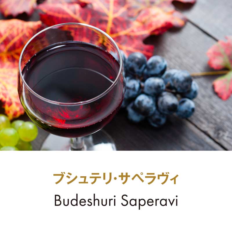 Budeshuri Saperavi Red 2019 750ml