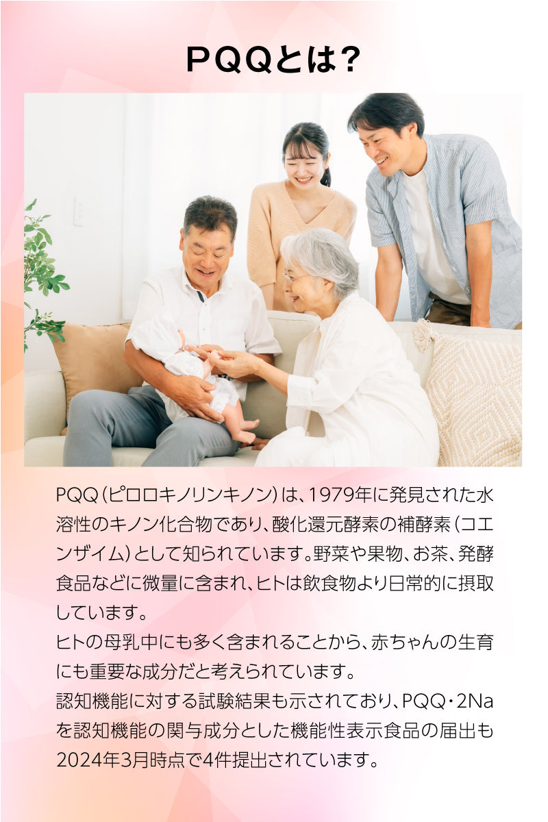 金秀バイオ NANO LIPO PQQ (ナノリポPQQ) （[260mg×60粒] × 1袋） コエンザイム