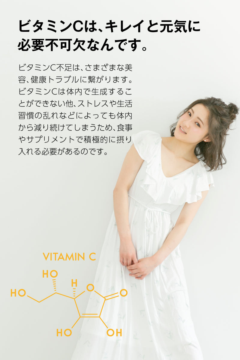 金秀バイオ NANO LIPO VC10000+VB (ナノリポ VC10000+VB) （90粒 × 1袋）