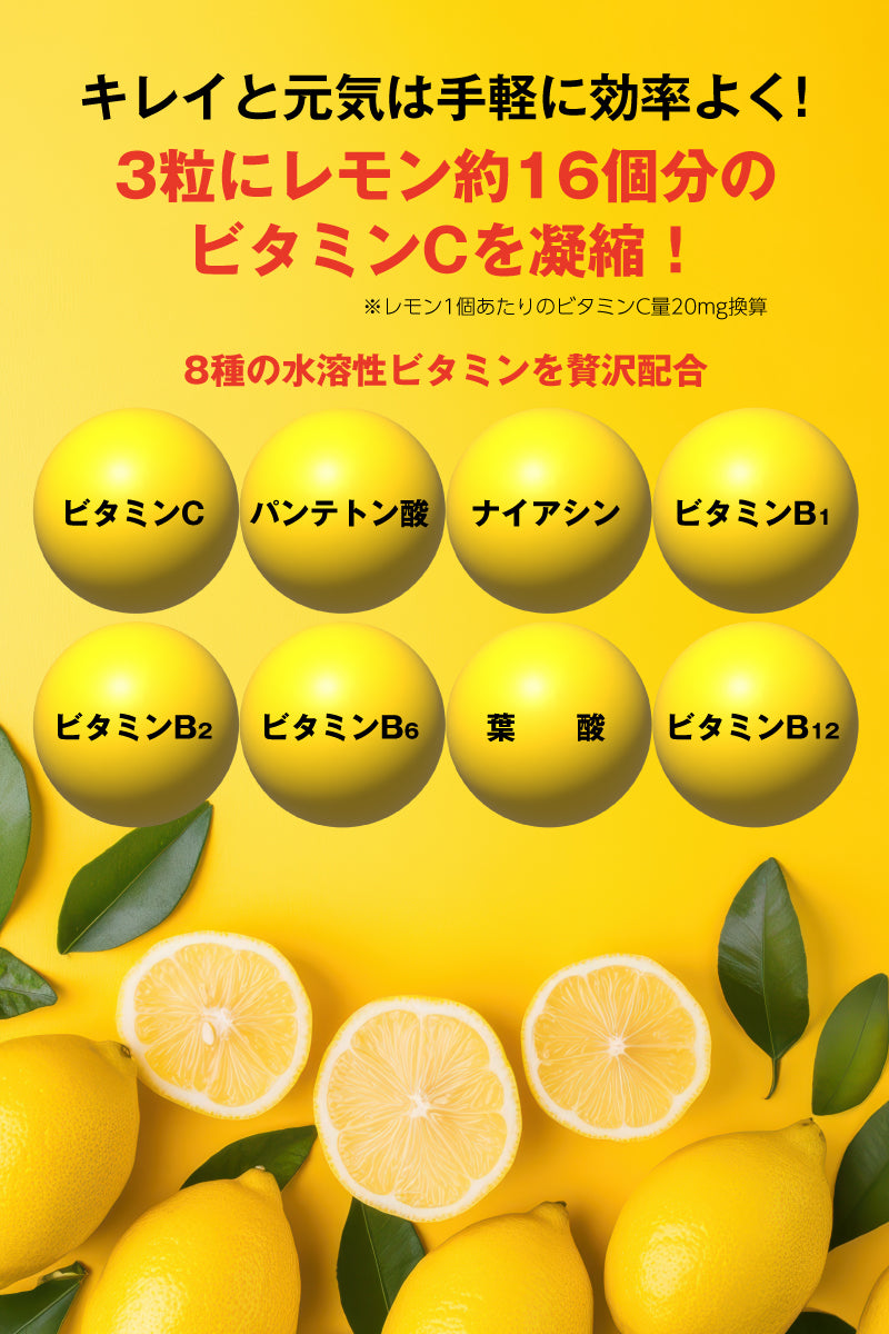 金秀バイオ NANO LIPO VC10000+VB (ナノリポ VC10000+VB) （90粒 × 1袋）