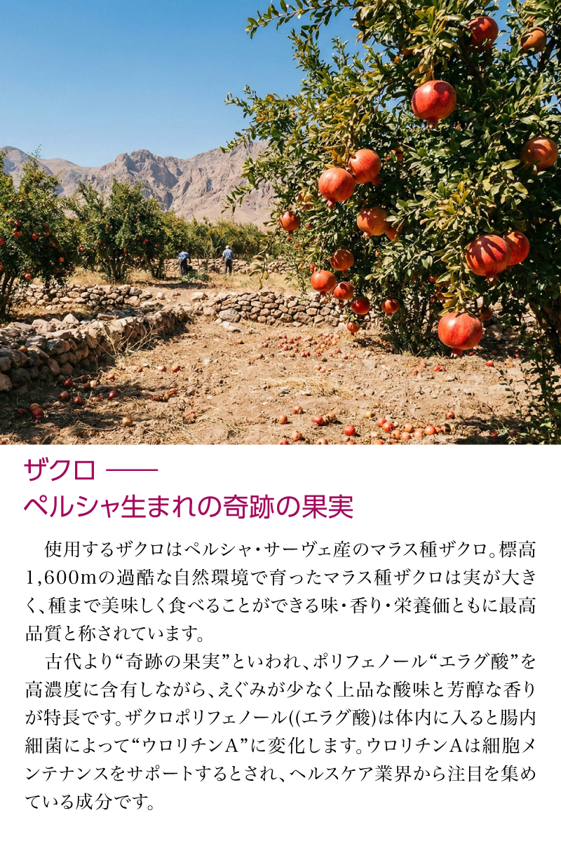 nini 熟成発酵ザクロエキス ザクロ・イチジク