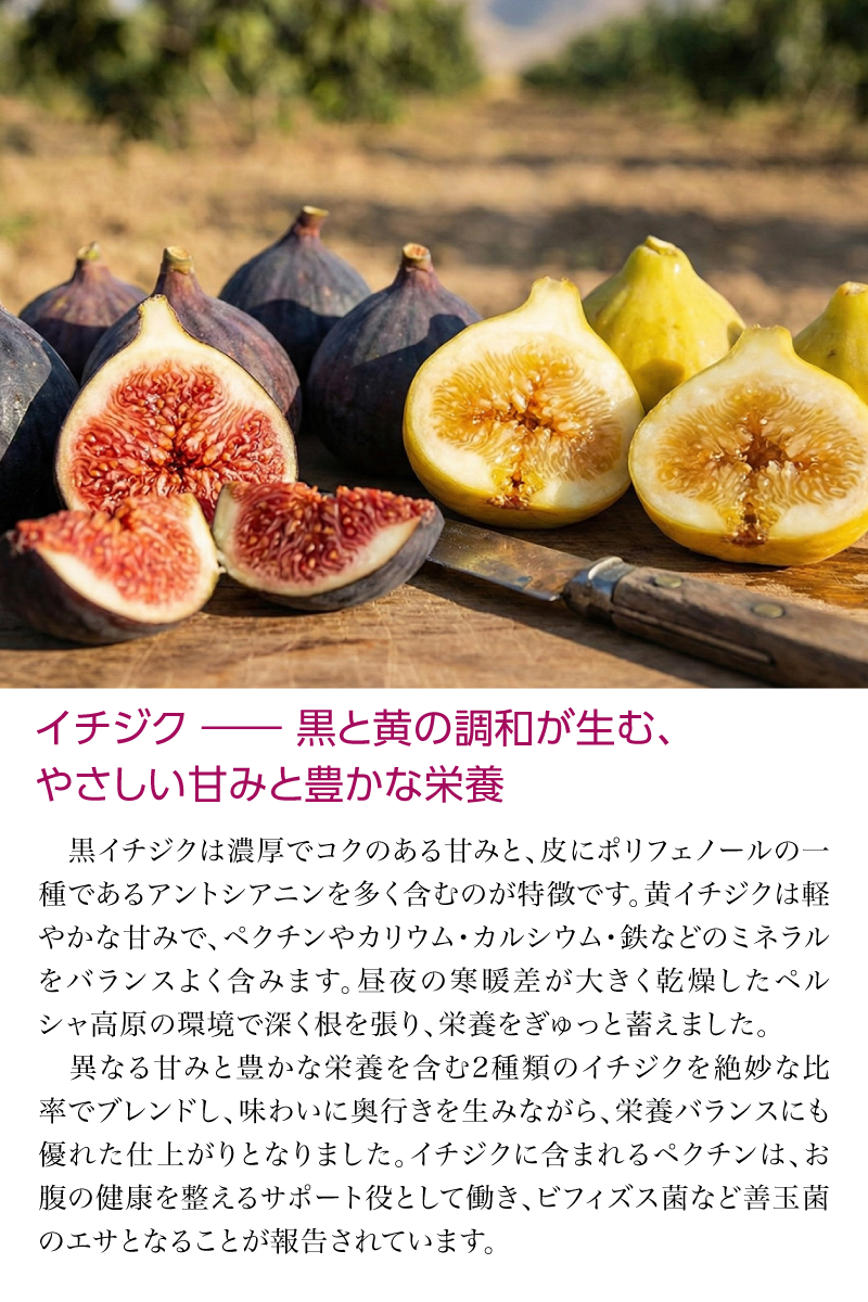 nini 熟成発酵ザクロエキス ザクロ・イチジク