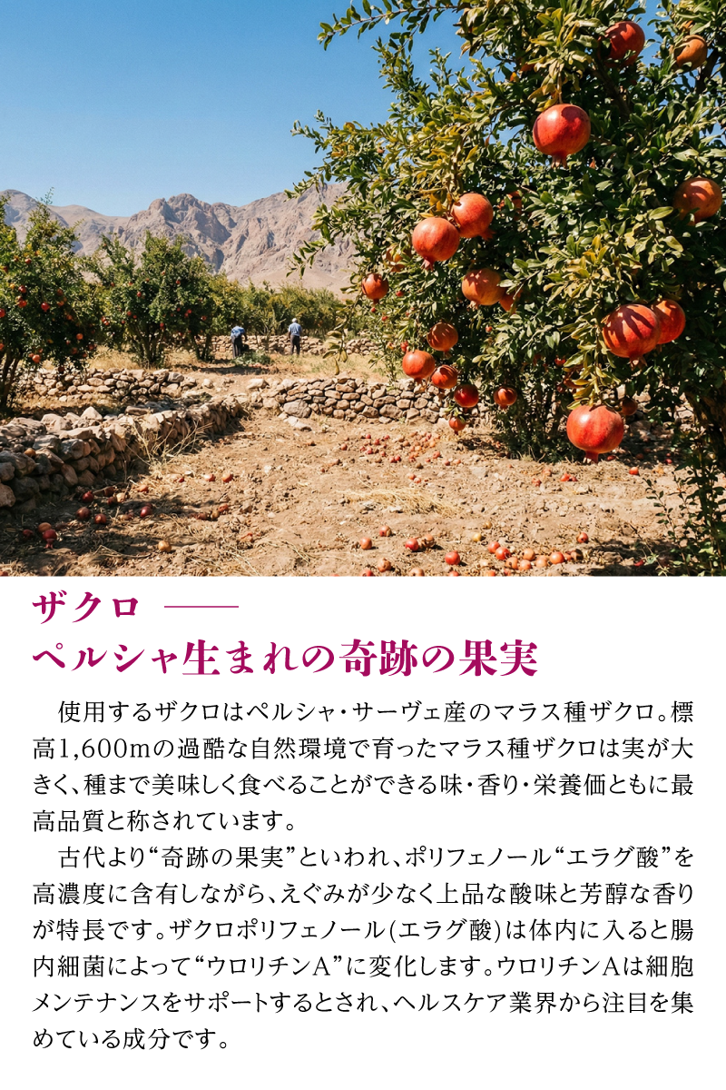 nini 熟成発酵ザクロゼリー