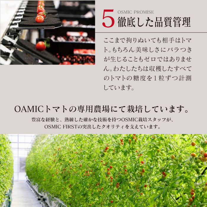 OSMIC FIRST QUEEN トマトジュース – 東和バイオ オフィシャルストア